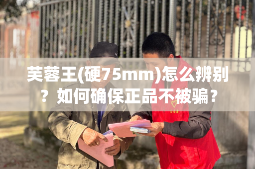 芙蓉王(硬75mm)怎么辨别？如何确保正品不被骗？